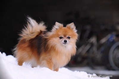Jan23_08_288.jpg