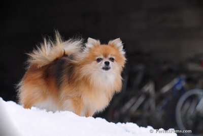 Jan23_08_291.jpg