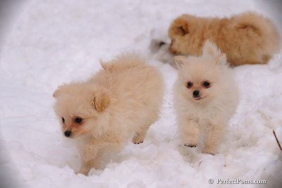 Jan23_08_479.jpg