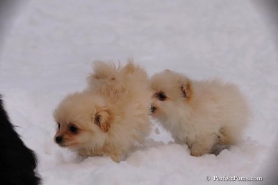 Jan23_08_483.jpg
