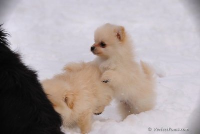 Jan23_08_484.jpg