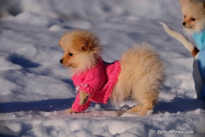 Feb2_09_002.JPG