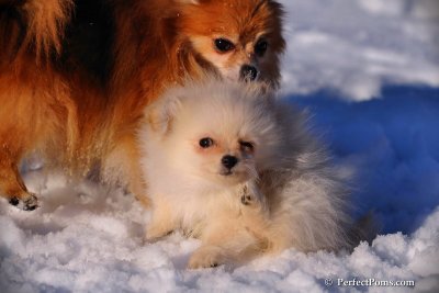 Feb2_09_010.JPG