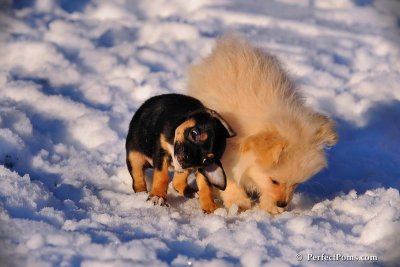 Feb2_09_031.JPG