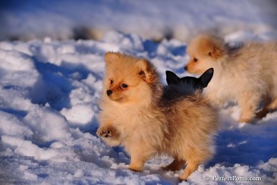 Feb2_09_037.JPG