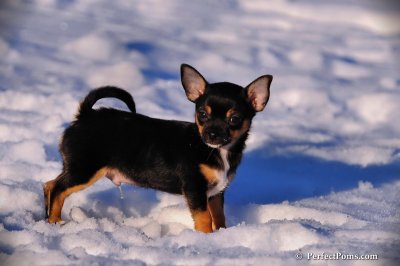 Feb2_09_039.JPG