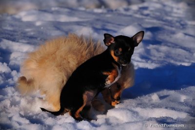 Feb2_09_043.JPG