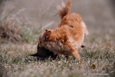 Apr11_09_114.jpg