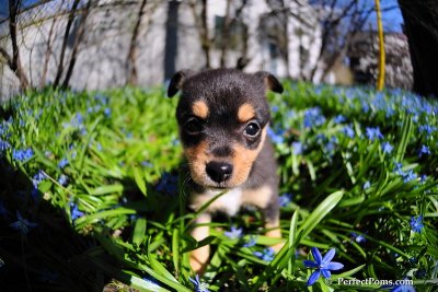 Apr23_09_060.JPG