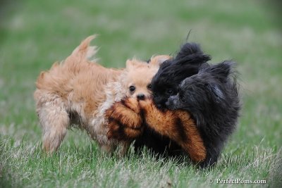 Apr25_09_169.jpg
