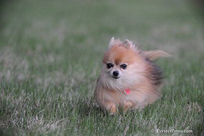 Apr25_09_224.jpg