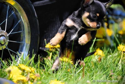May20_09_114.jpg