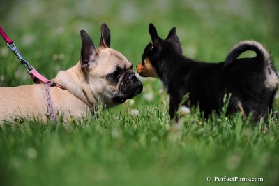 May23_09_160.JPG