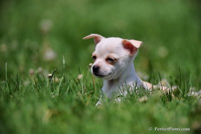 May23_09_182.jpg