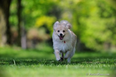 May25_09_166.jpg