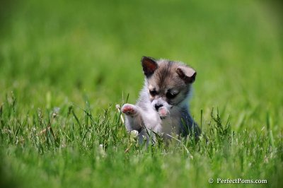 May30_09_029.jpg