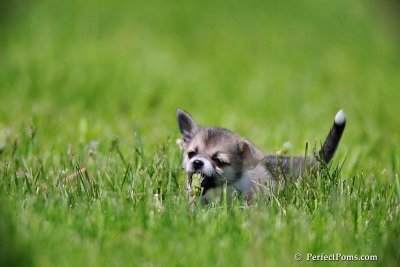 May30_09_030.jpg