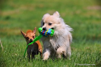 May30_09_040.jpg