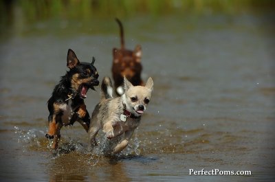 Aug1_09_168.JPG