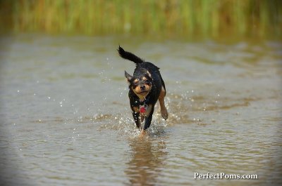 Aug1_09_200.JPG