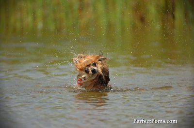Aug1_09_207.JPG