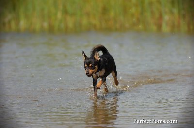 Aug1_09_110.JPG