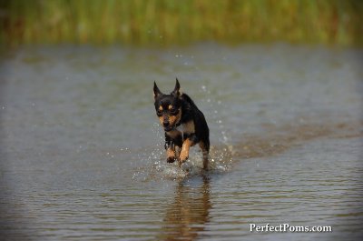 Aug1_09_112.JPG