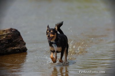 Aug1_09_116.JPG