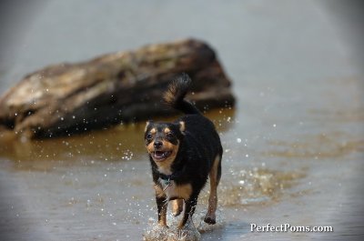 Aug1_09_119.JPG