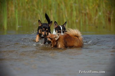 Aug1_09_123.JPG