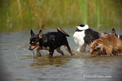Aug1_09_128.JPG