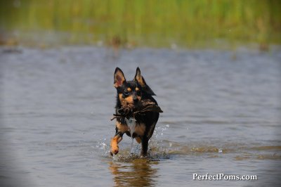 Aug15_09_668.JPG