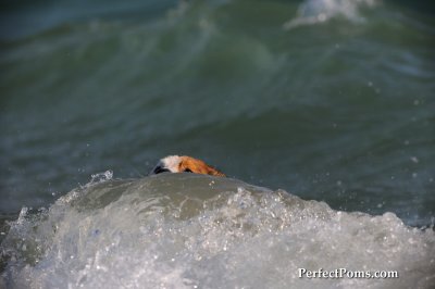 Aug25_09_125.JPG