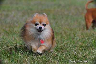 Oct8_09_255.jpg