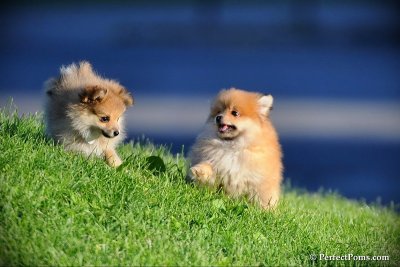 June8_10_017.jpg
