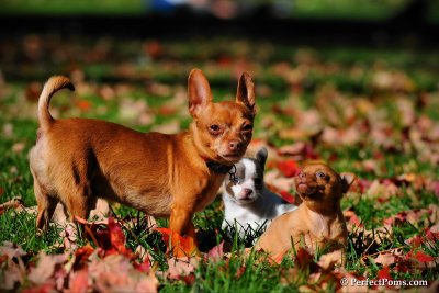 Oct8_10_008.jpg