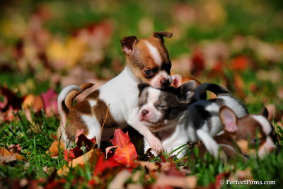 Oct8_10_014.jpg