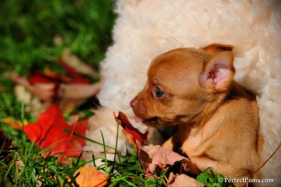 Oct8_10_025.jpg