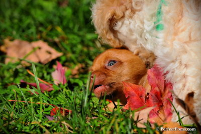 Oct8_10_027.jpg