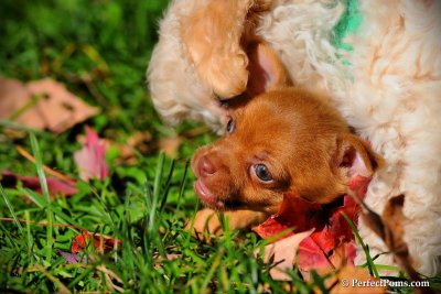 Oct8_10_029.jpg