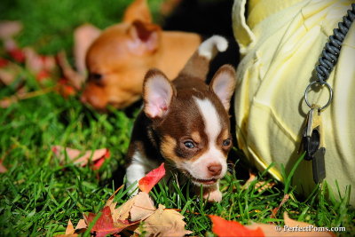 Oct8_10_035.jpg