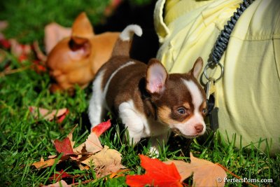 Oct8_10_036.jpg
