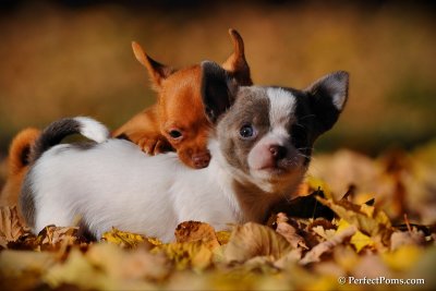 Oct16_10_033.jpg