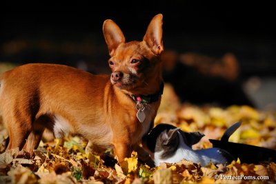Oct16_10_046.jpg