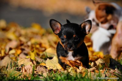 Oct16_10_049.jpg