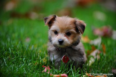 Oct22_10_002.jpg