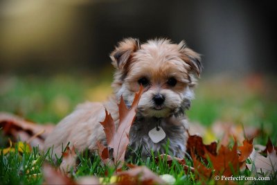 Oct22_10_003.jpg