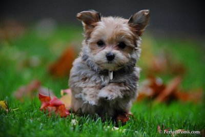 Oct22_10_007.jpg