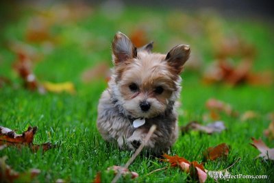 Oct22_10_009.jpg