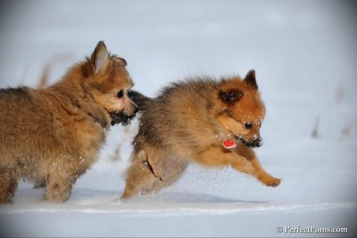 Jan7_11_070.jpg
